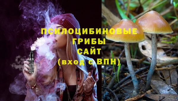 МДПВ Армянск
