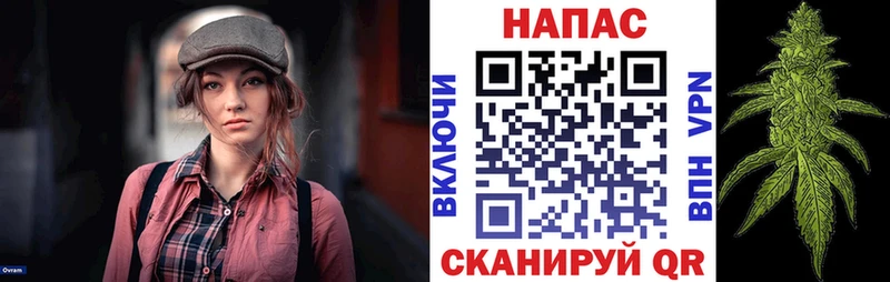МАРИХУАНА конопля Боготол